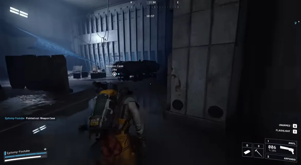 Weapon cases